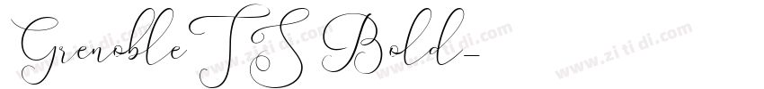 GrenobleTS Bold字体转换